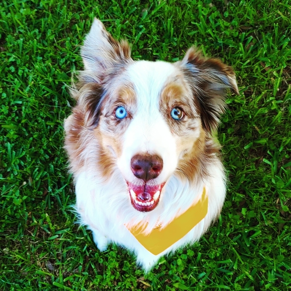 Meet your Posher, ! alexandra - Picture 3 of 6